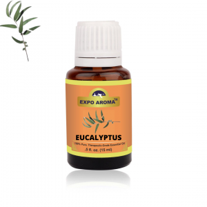 Eucalyptus Hydrosol Floral Water