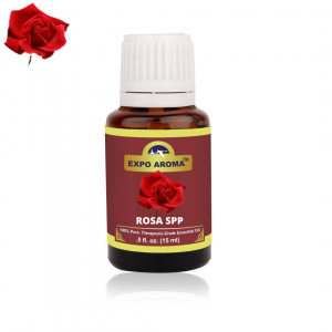 Rosa Spp Extracts