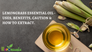 Lemongrass Essential Oil